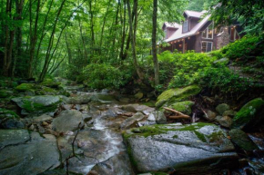 Beech Creek Cabin